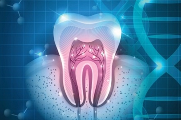 Journal of dentistry 审稿周期长吗？