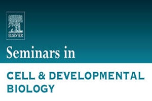 Seminars in Cell & Developmental Biology 是开放获取期刊吗，发表费用是多少？