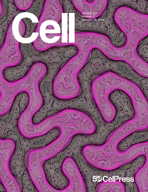 Cell