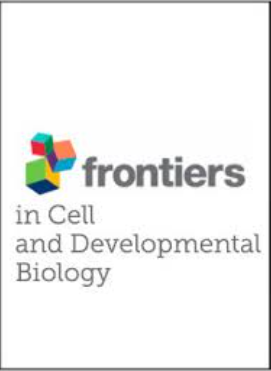 Frontiers in Cell and Developmental Biology