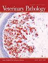 Veterinary Pathology