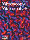 Microscopy and Microanalysis