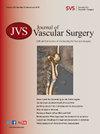 Journal of Vascular Surgery