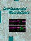 Developmental Neuroscience