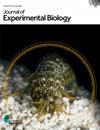 British Journal of Experimental Biology