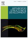 Arthropod Structure & Development