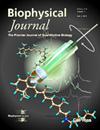 Biophysical journal