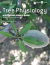 Tree physiology