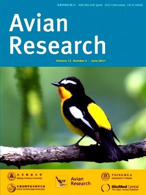 Avian Research