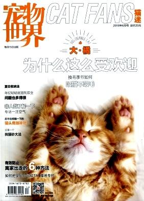 宠物世界(猫迷)