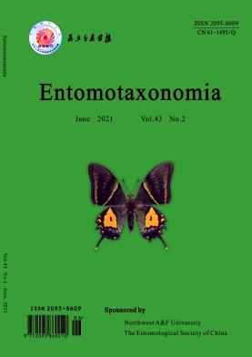 Entomotaxonomia