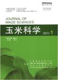 Journal of Maize Sciences