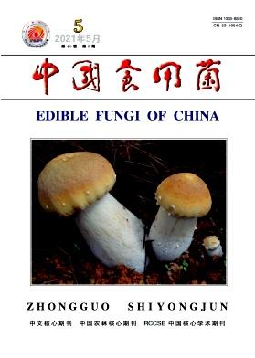 Edible Fungi of China