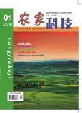 农家科技(上旬刊)