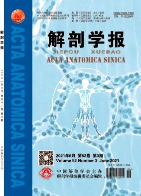 Acta Anatomica Sinica