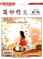 快乐青春:简妙作文(小学生)