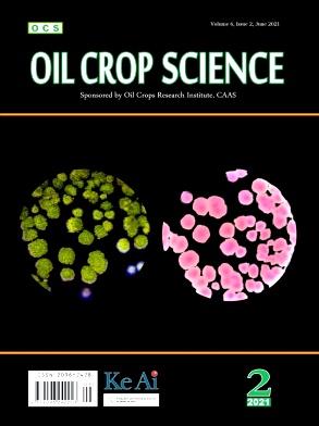 Oil Crop Science