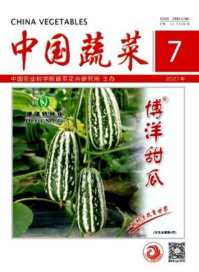 China Vegetables