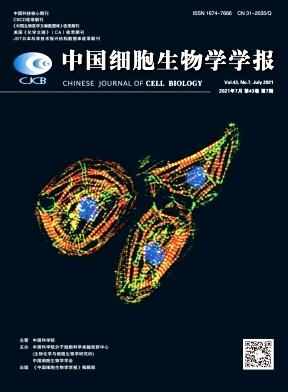 中国细胞生物学学报