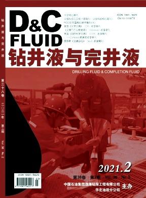 Drilling Fluid and Completion Fluid