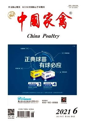 China Poultry