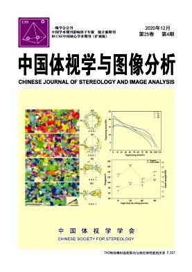 Chinese Journal of Stereology and Image Analysis