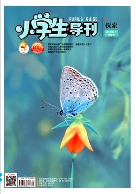 小学生导刊(中年级)