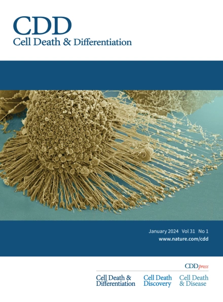 Cell Death and Differentiation