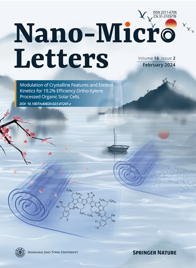 Nano-Micro Letters