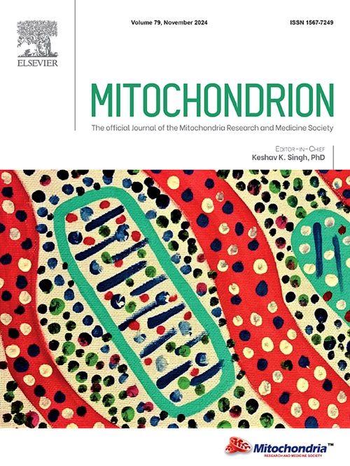 Mitochondrion