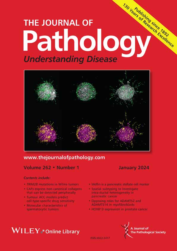 The Journal of Pathology