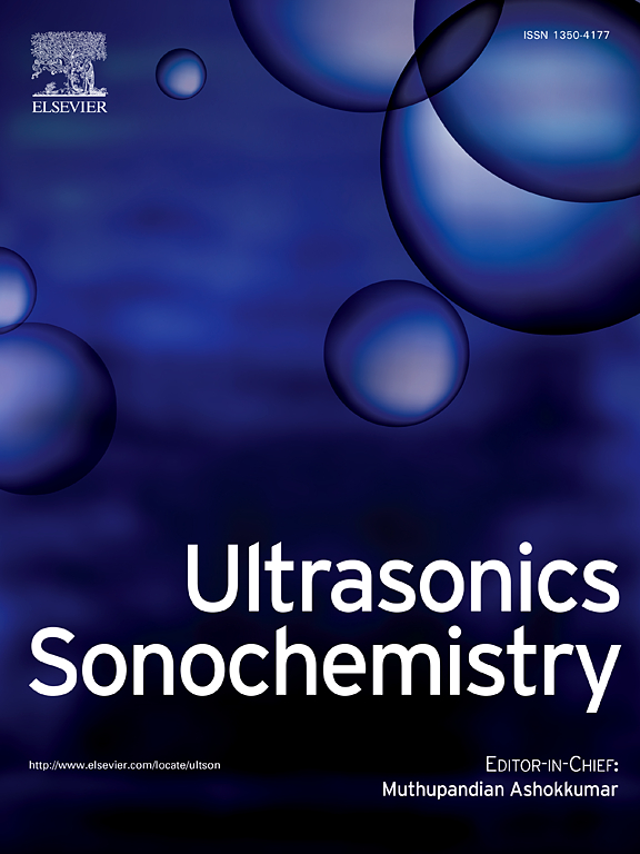 Ultrasonics Sonochemistry