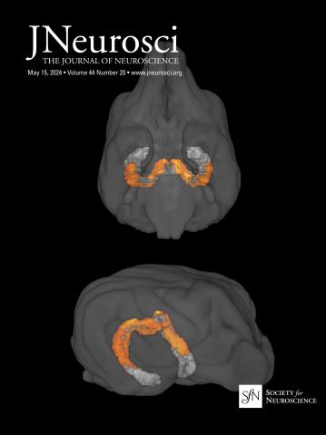 Journal of Neuroscience