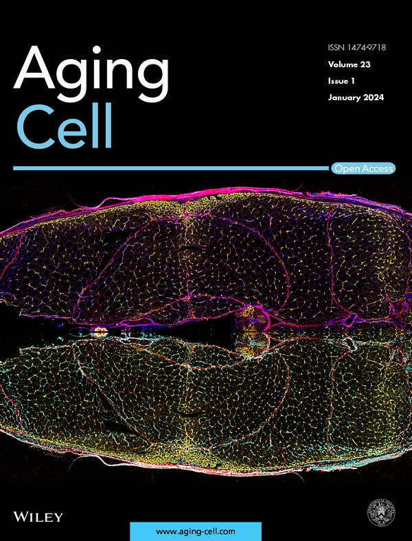 Aging Cell