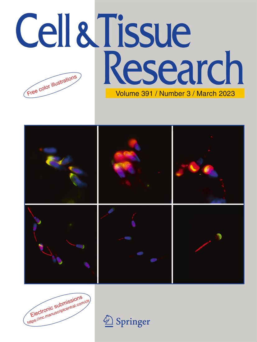 Cell and Tissue Research